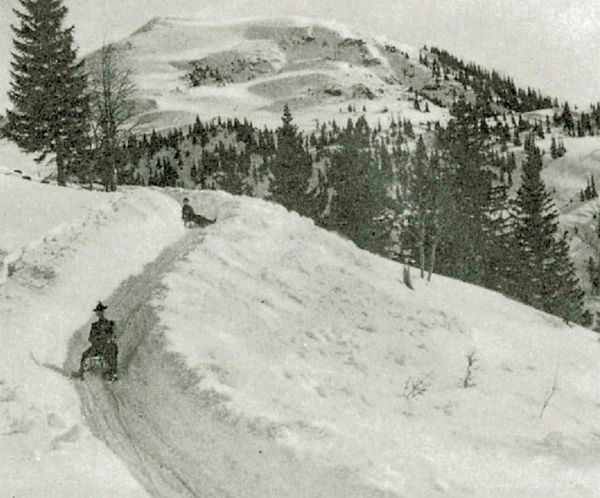 Rodeln auf dem Sommerweg vom Wallberg ca. 1900