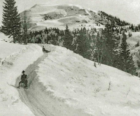 Rodeln auf dem Sommerweg am Wallberg