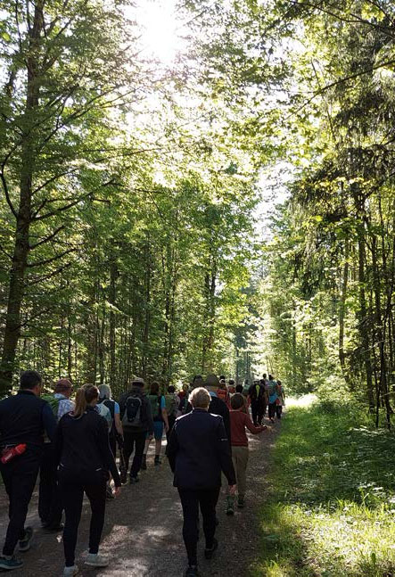 Auf dem Filzenweg bei Neuhaus